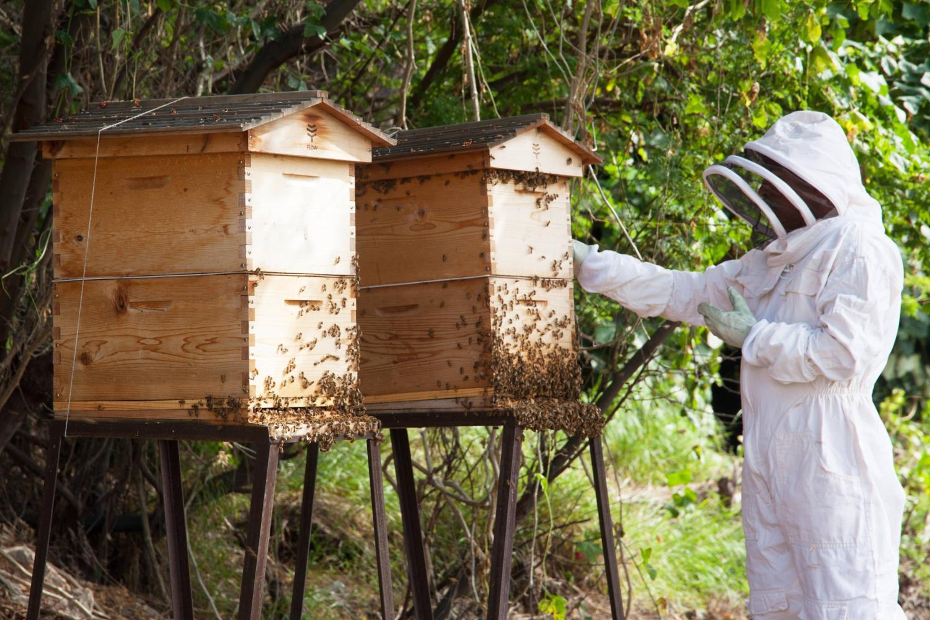 Mauna Kea Beach Hotel, Autograph Collection - Property Image 136