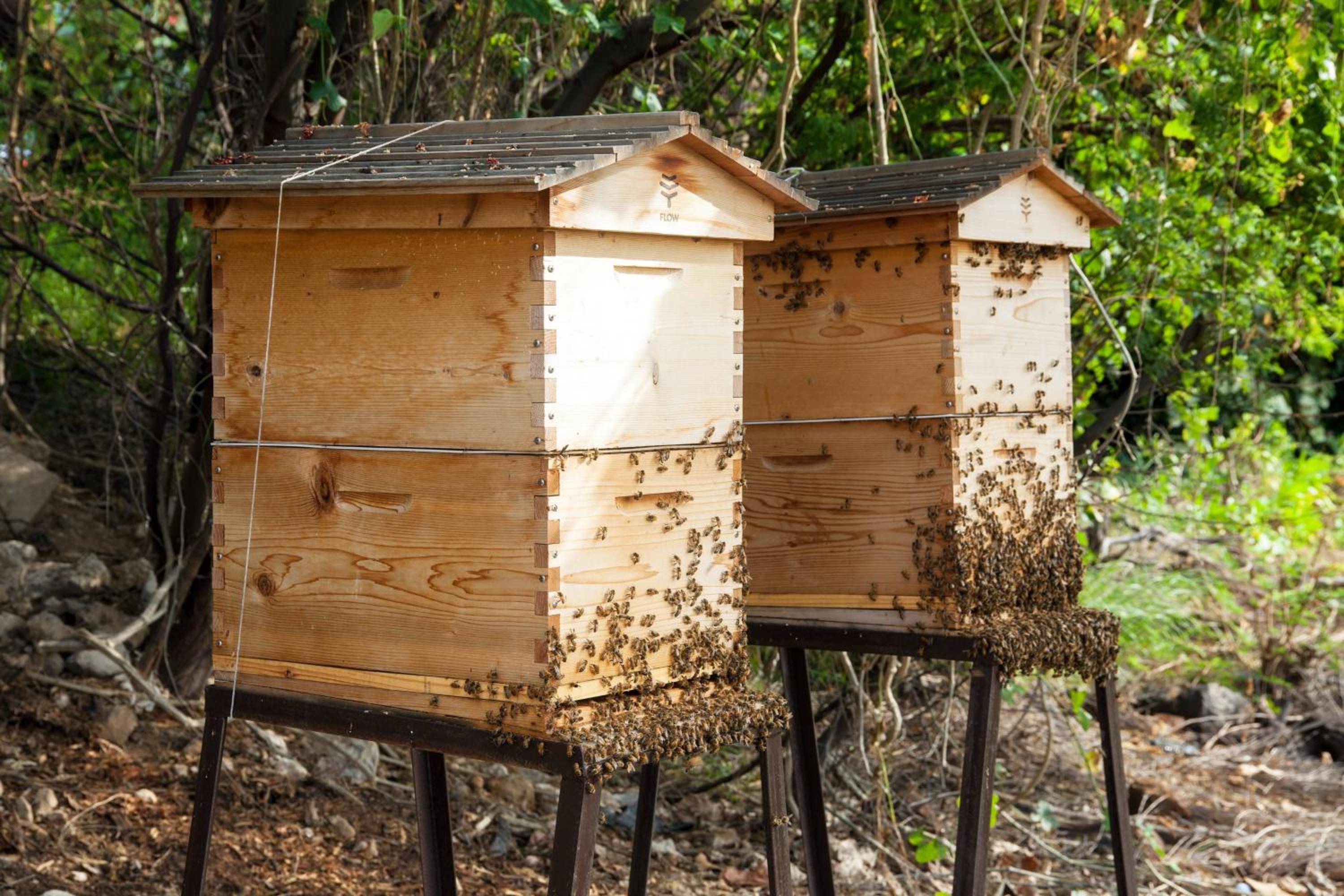 Mauna Kea Beach Hotel, Autograph Collection - Property Image 135