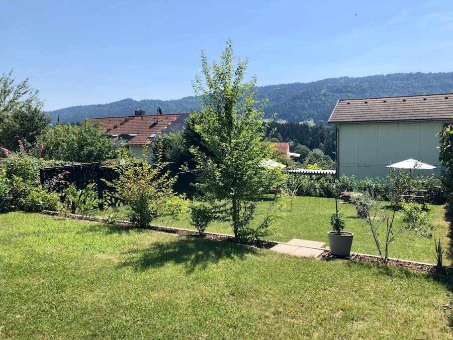 Bodenseenähe und Pfänderblick