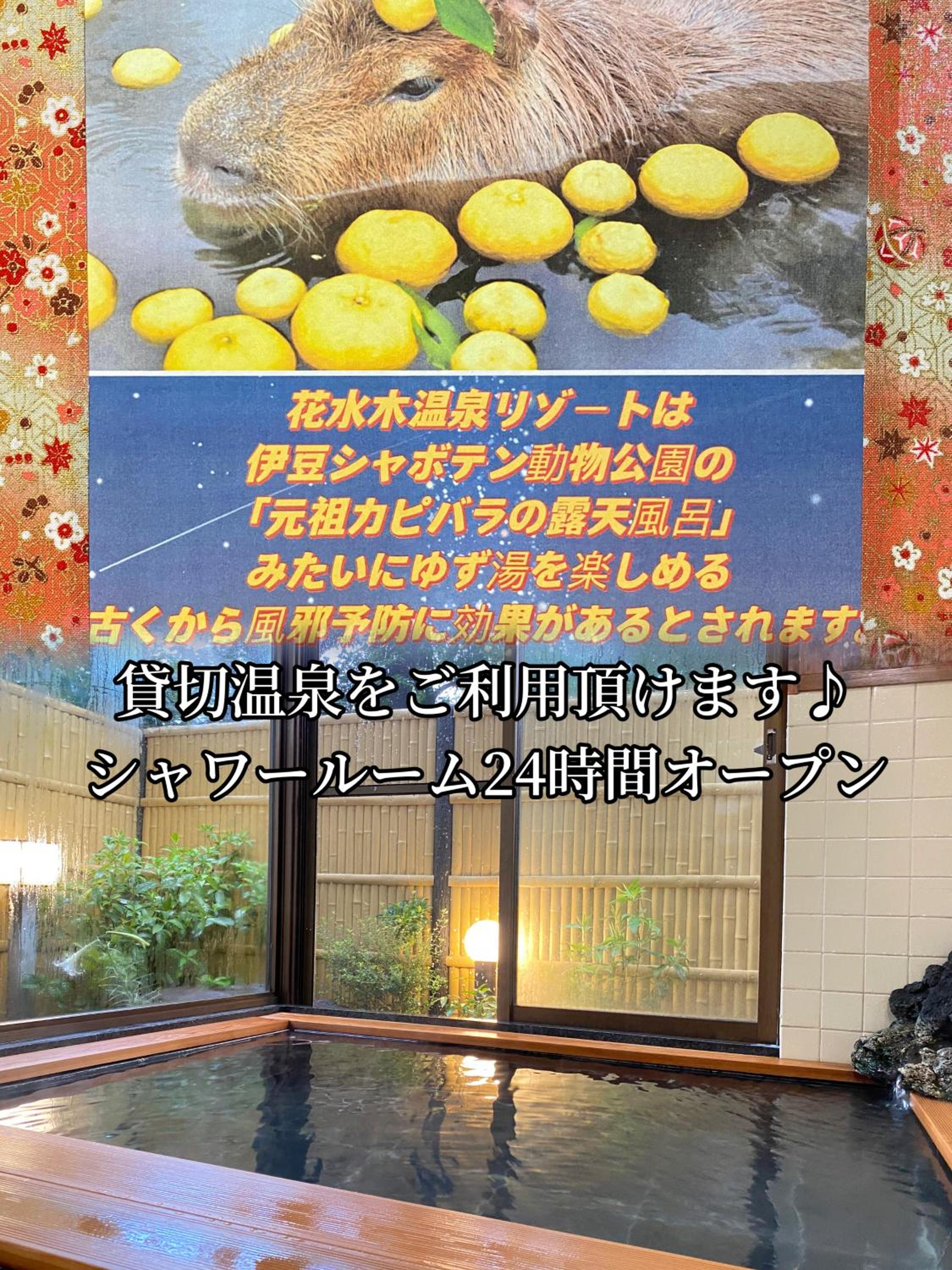 Photo 57