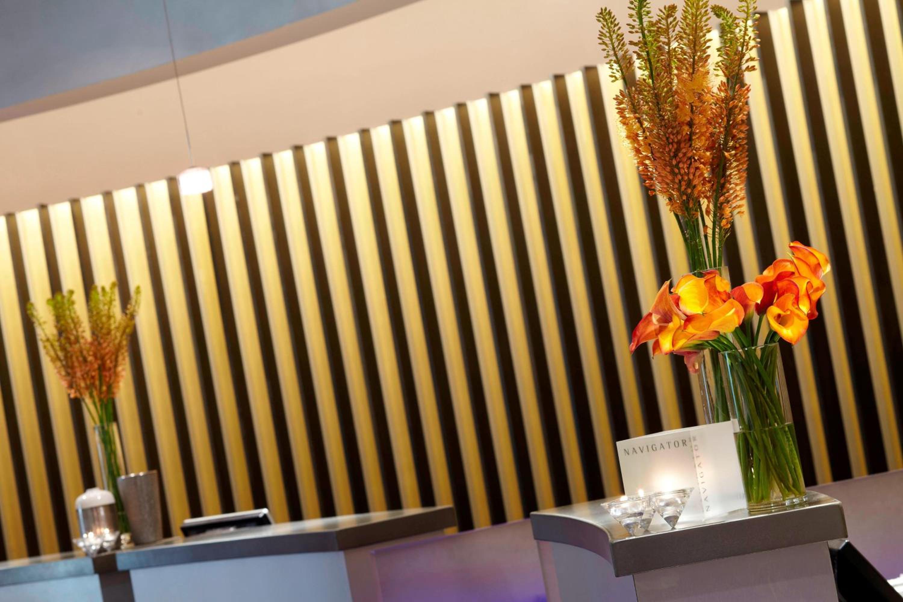 St Louis Vacations - Renaissance St. Louis Airport Hotel - Property Image 5