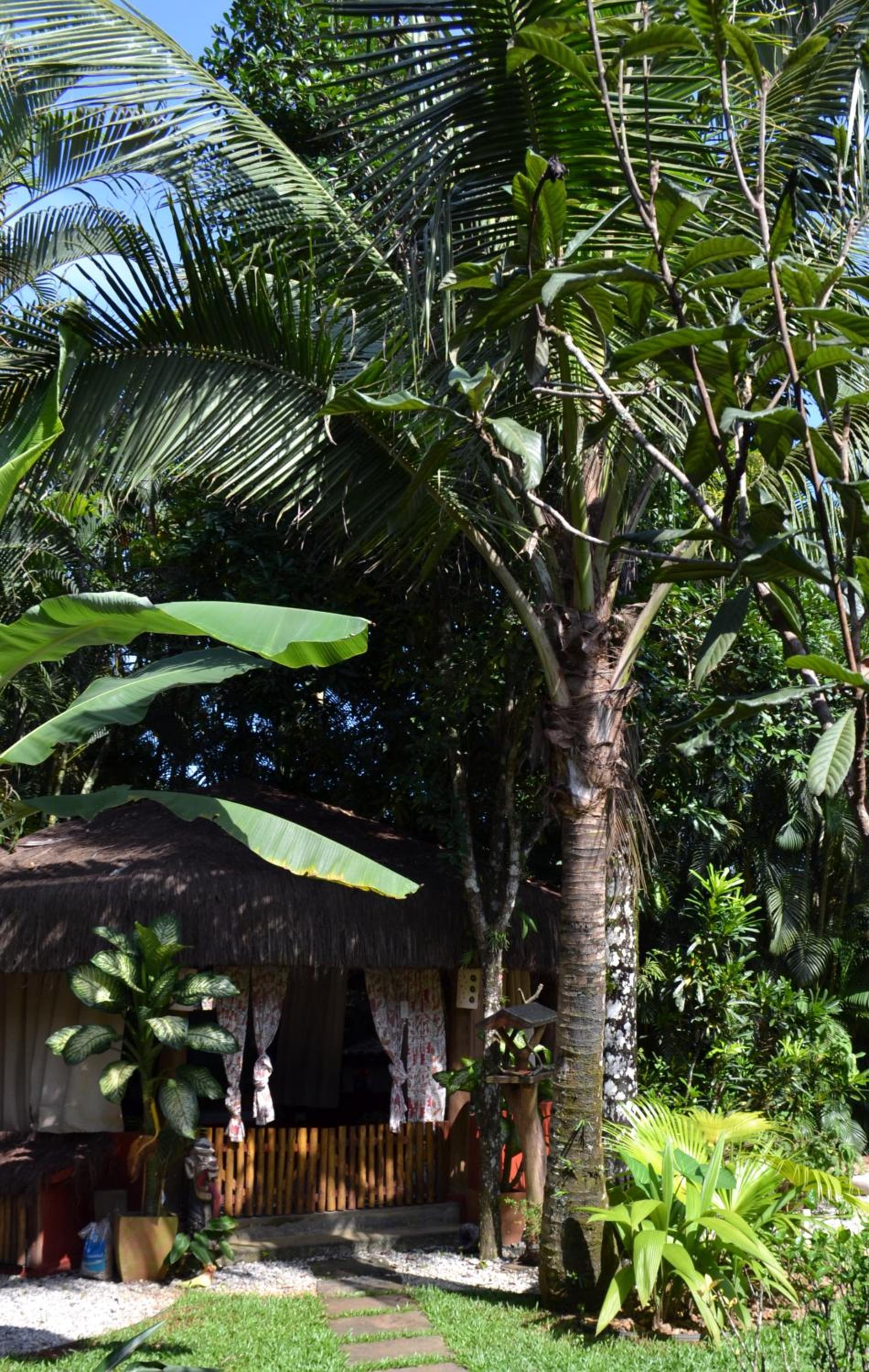 Espaço CurAmar - Praia de Itamambuca