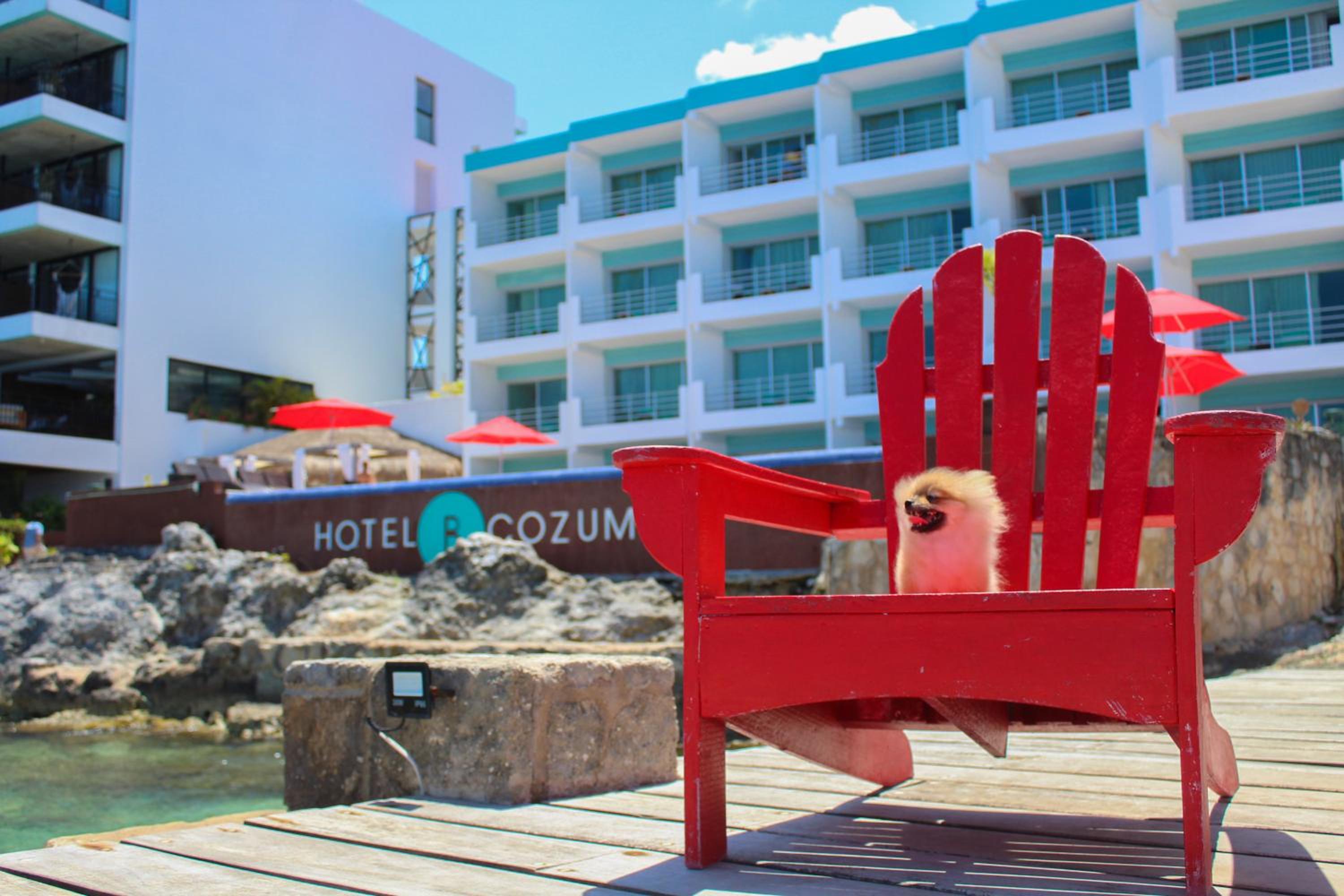 Hotel B Cozumel - Property Image 67