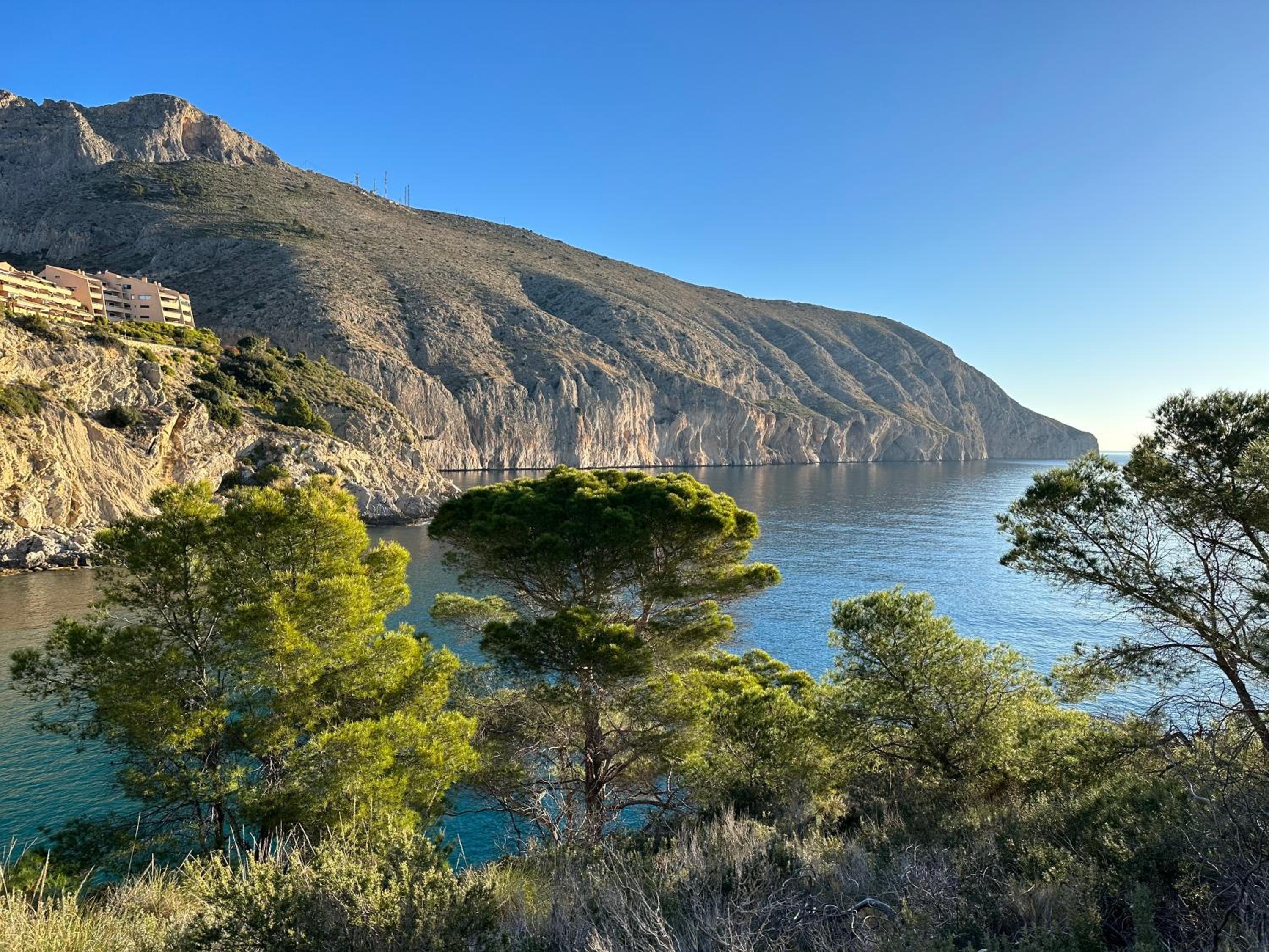 Can Luc Altea
