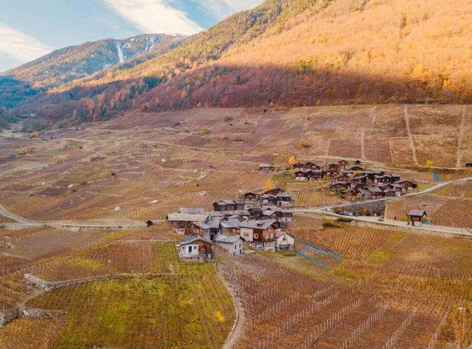 Alpine Bliss - Cozy Chalet with Panoramic Views