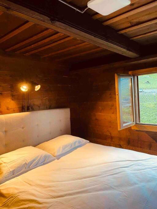 Alpine Bliss - Cozy Chalet with Panoramic Views
