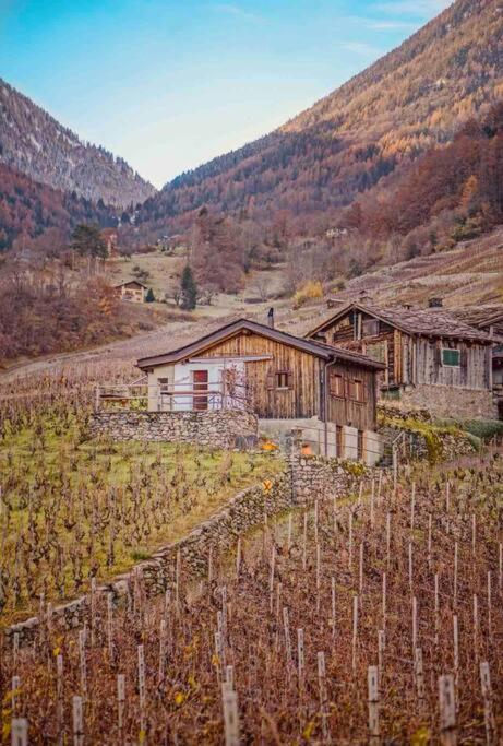 Alpine Bliss - Cozy Chalet with Panoramic Views
