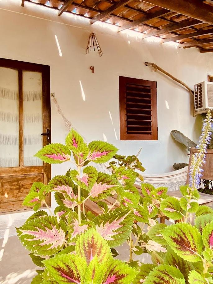 Pousada Vila Dendê