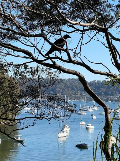 Sydney Northern Beaches Pitterwater Waterfront Holiday House Avalon Beach - Clareville