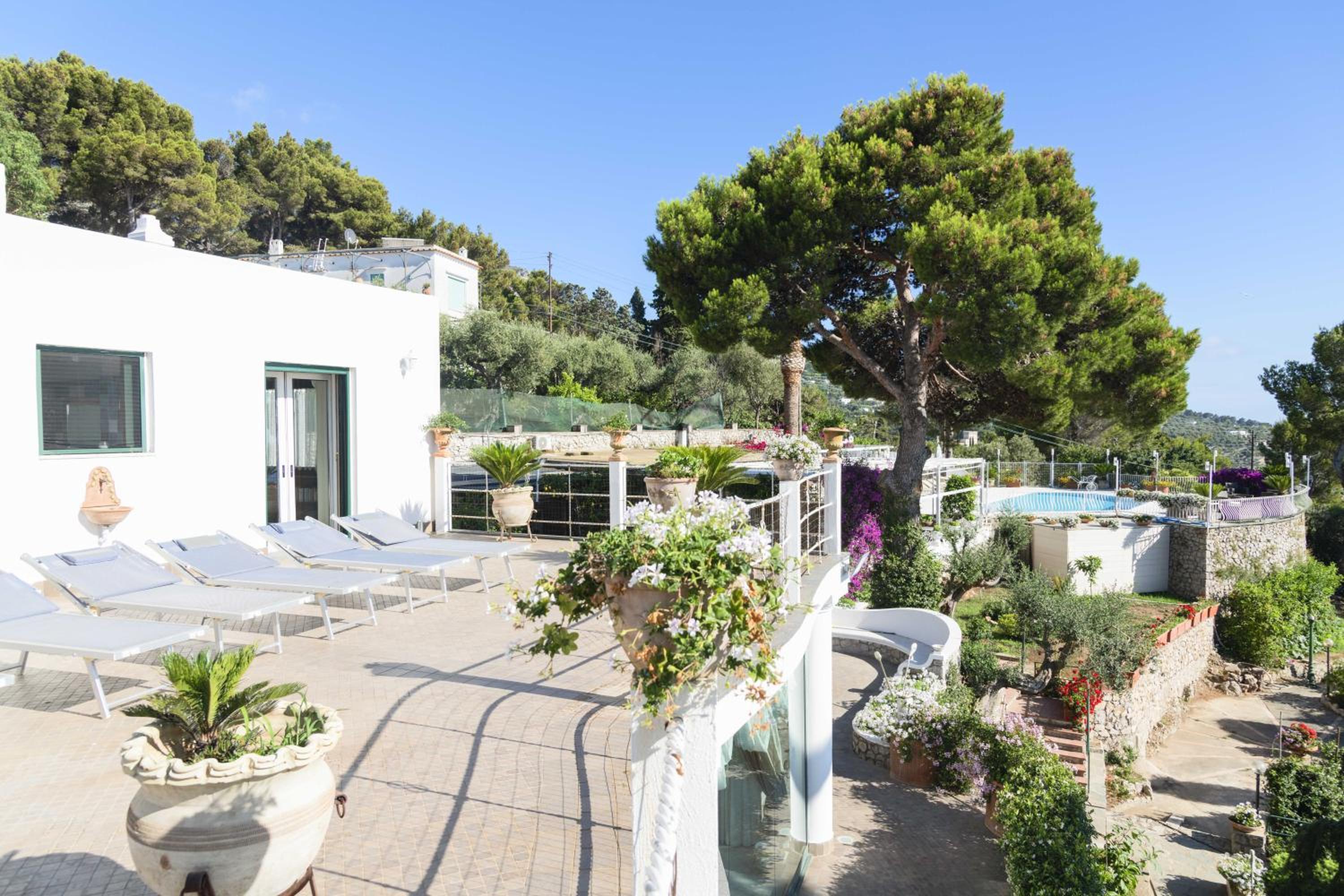 Photo 92