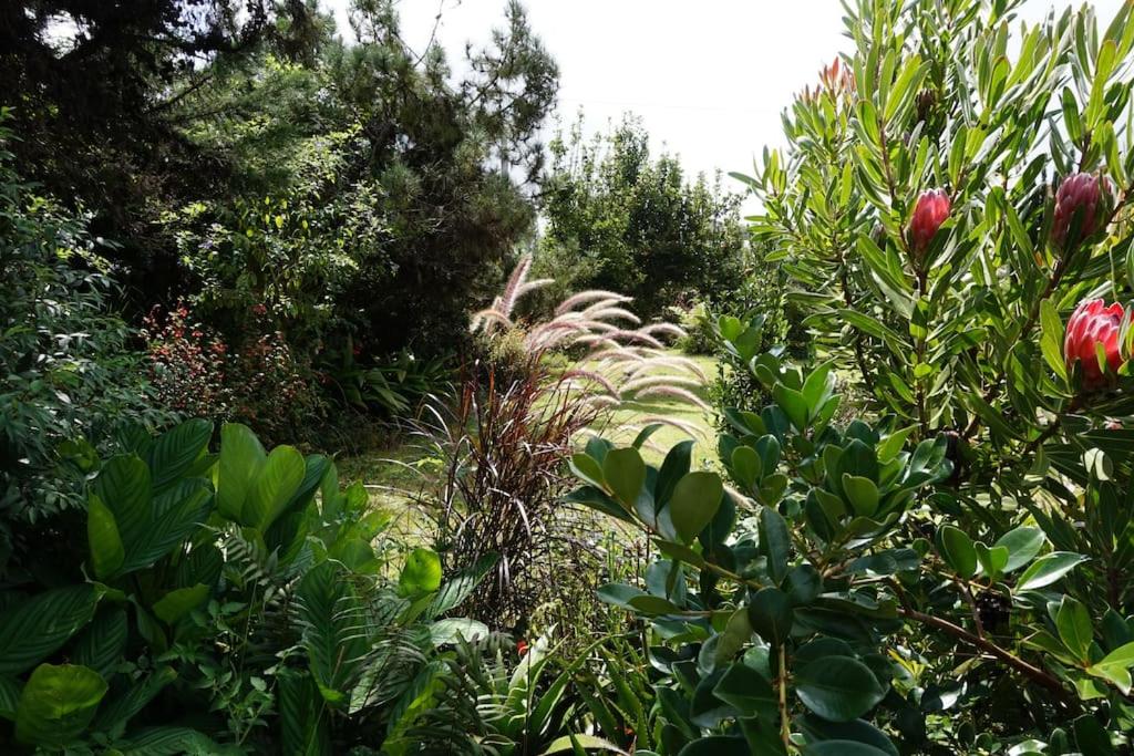 JARDIN SECRET, Bas de villa TOUT CONFORT view 4