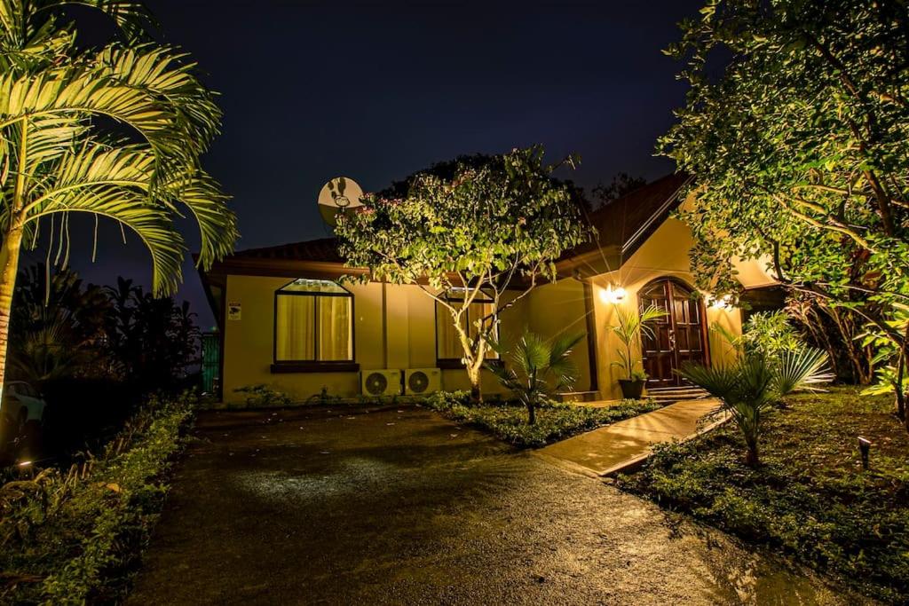 Anthurium house