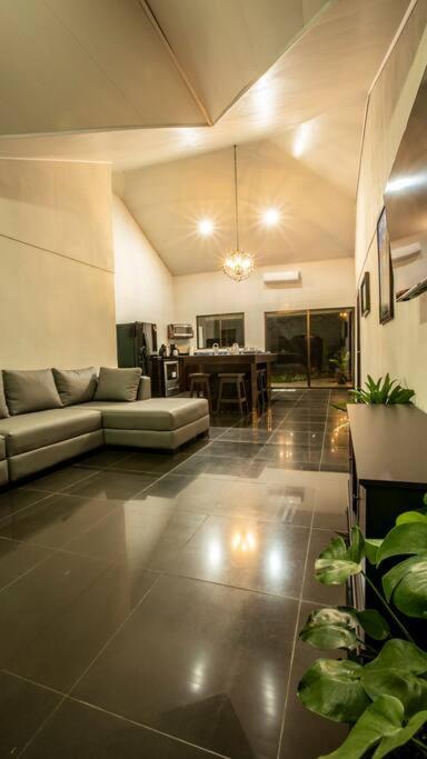 Anthurium house
