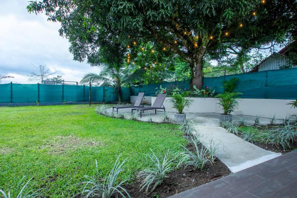 Anthurium house