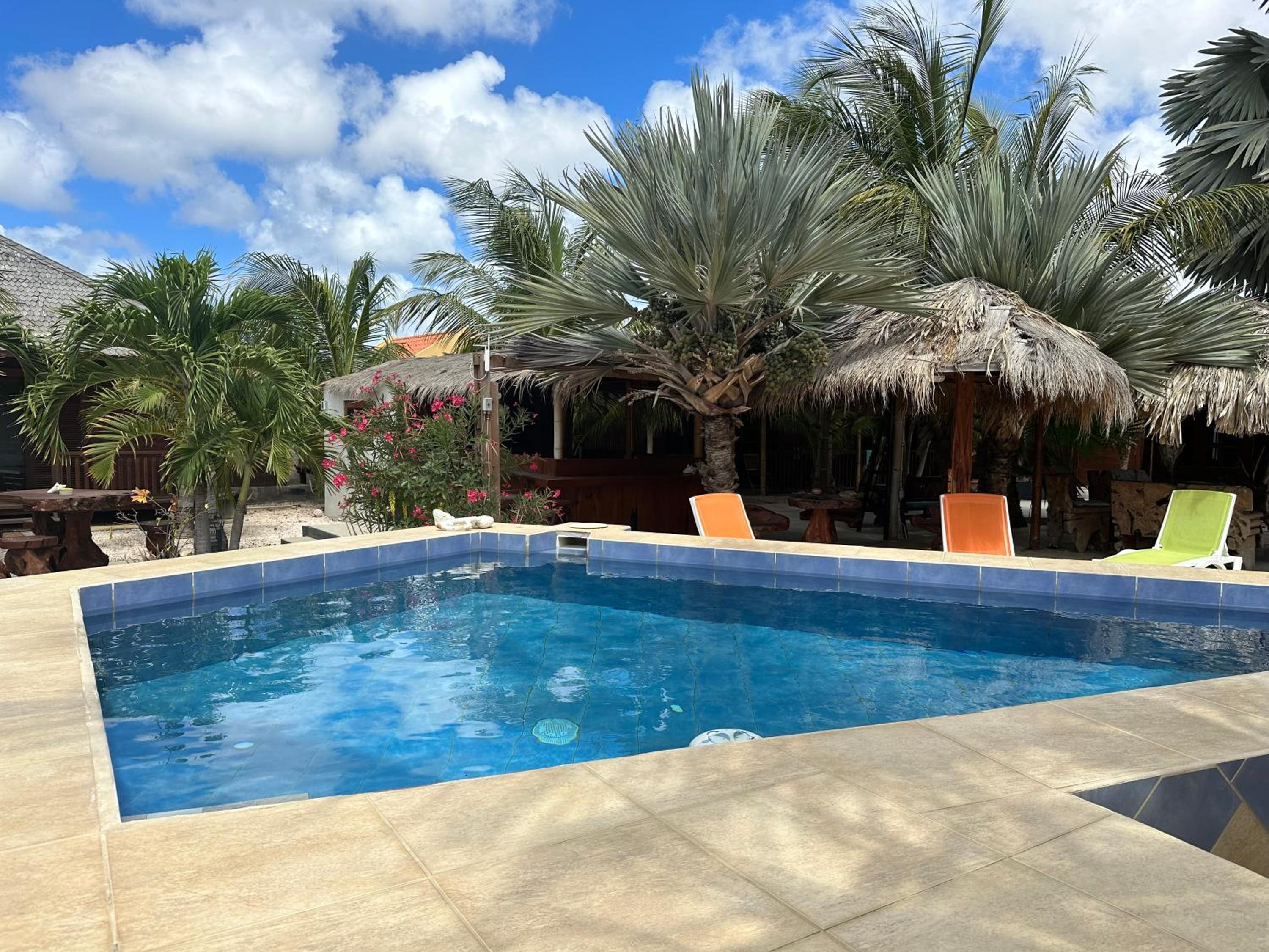 Studio - begane grond - poolside