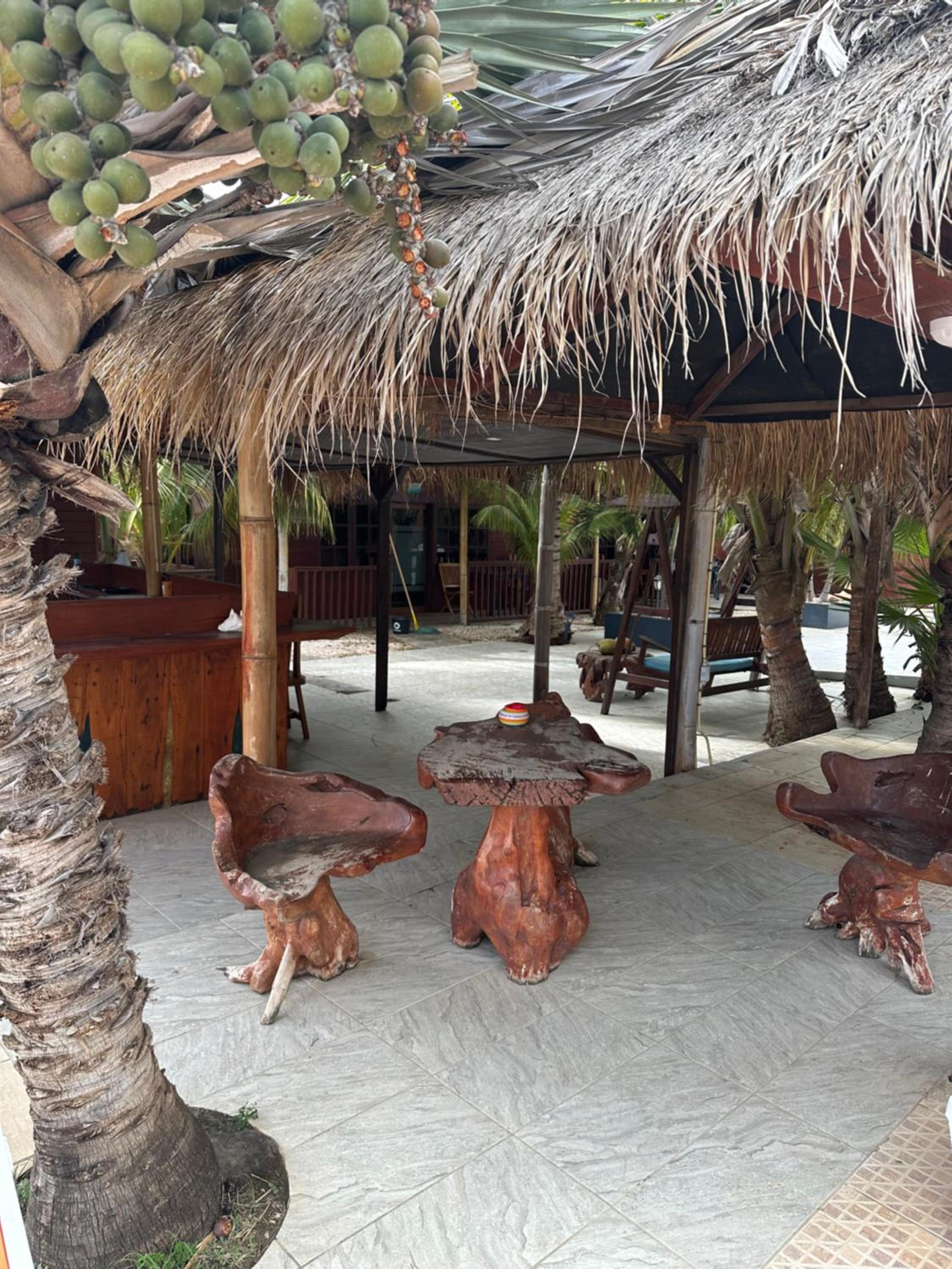 Studio - begane grond - poolside