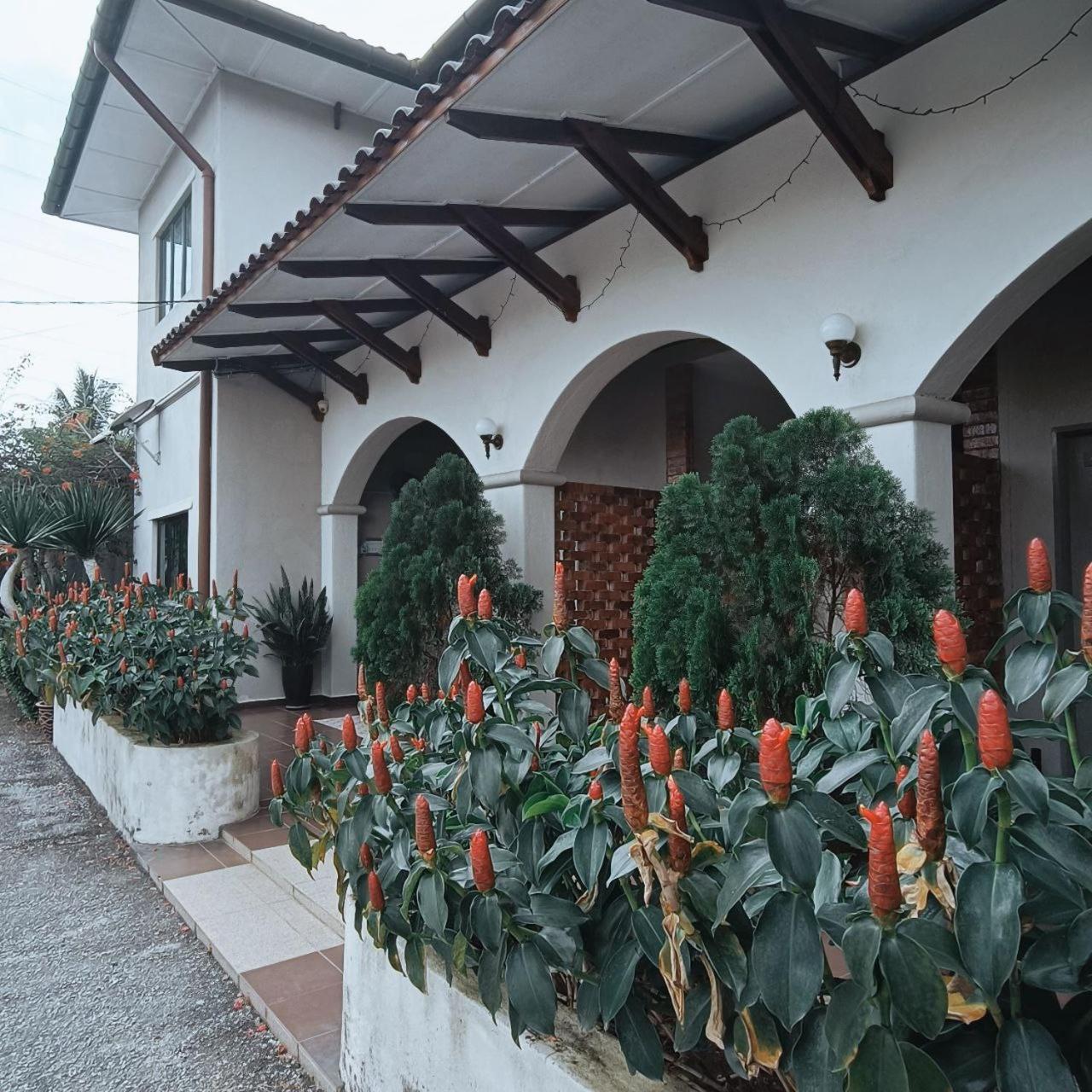 Villa 223