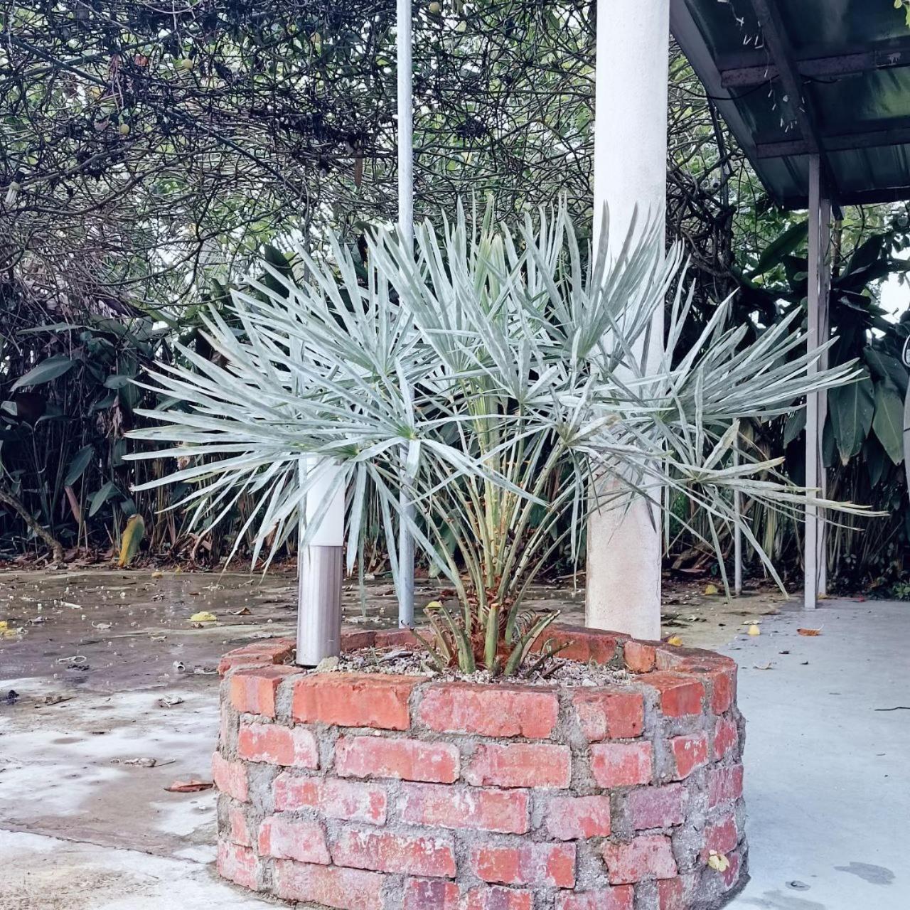 Villa 223