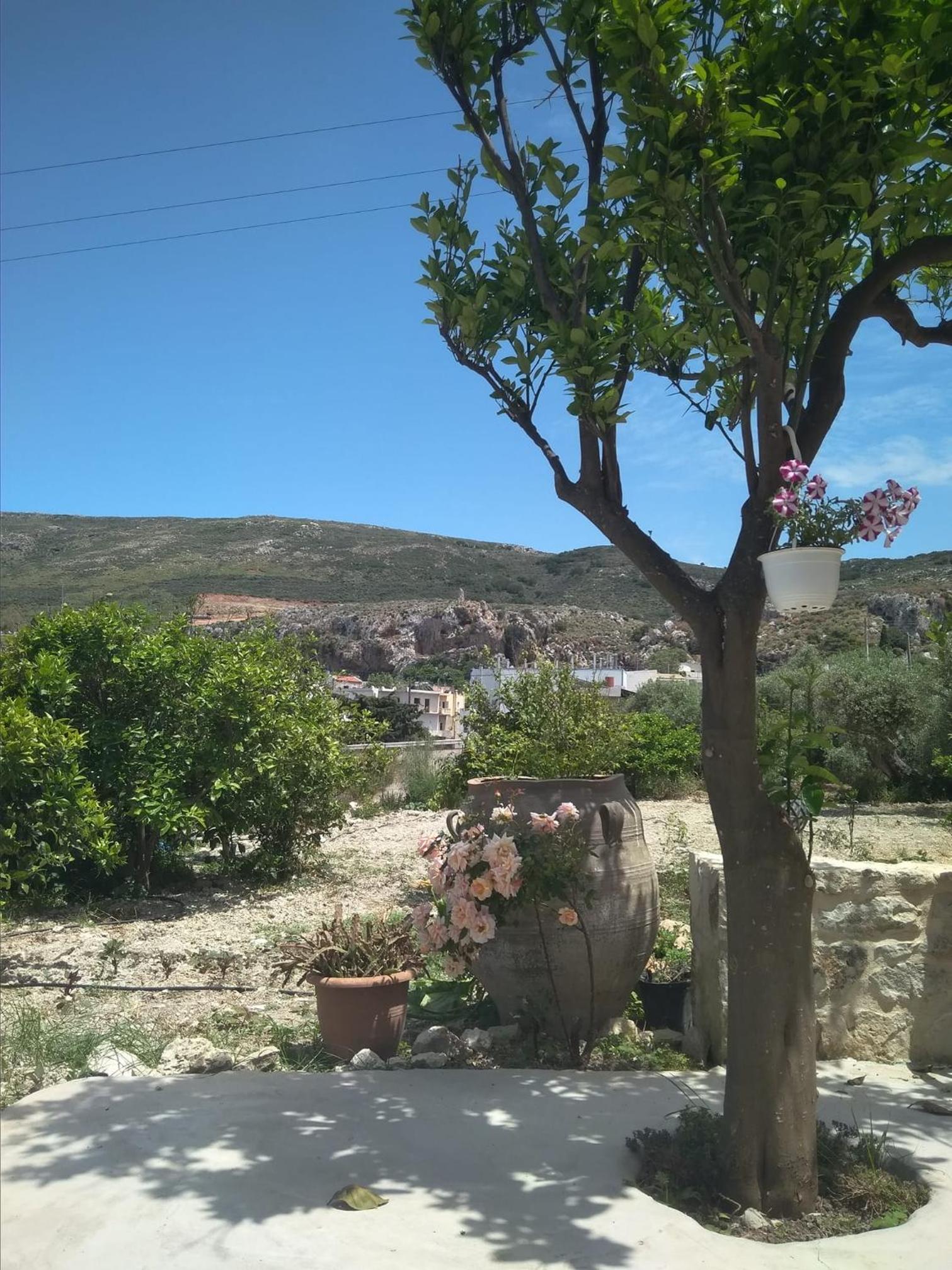 Photo 27
