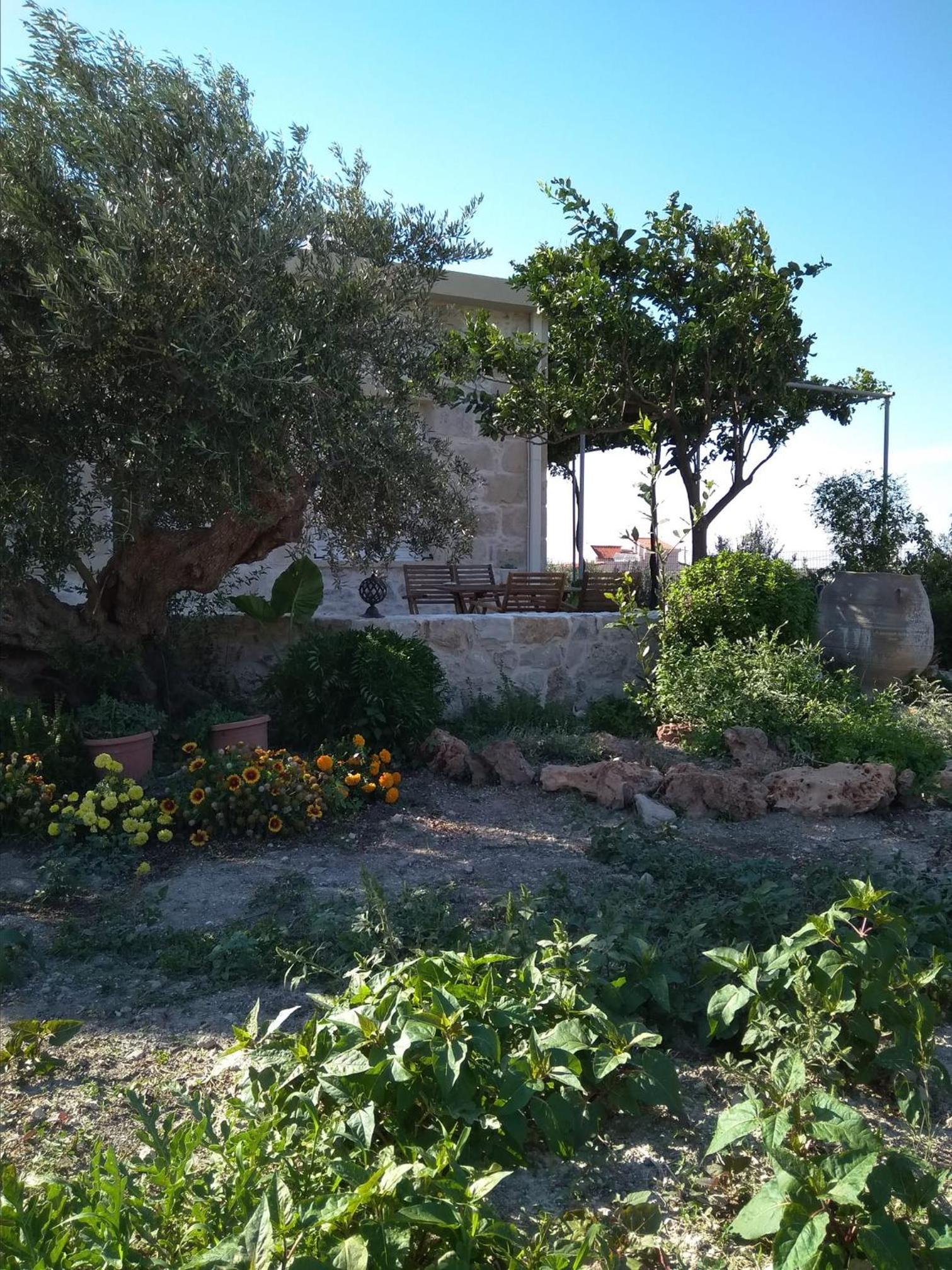Photo 26