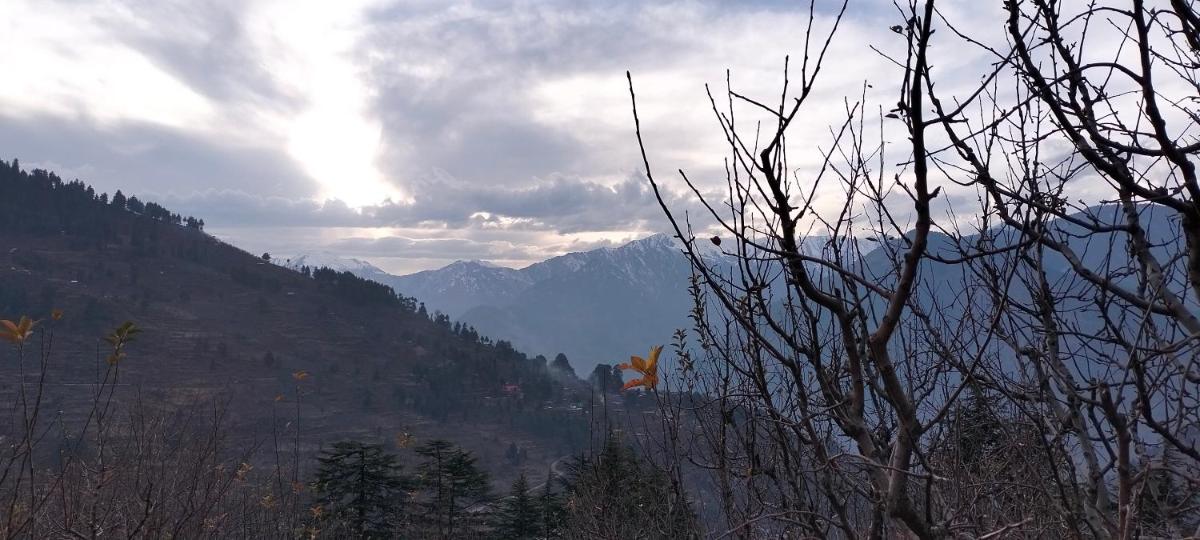 Photo 99