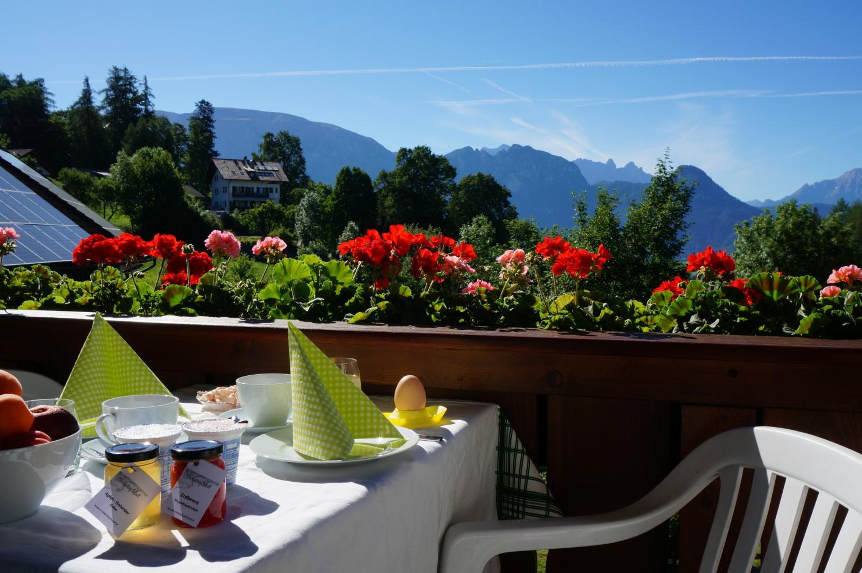 Ferienwohnung Marienkäfer Rückzugsort inmitten der Natur mit Bergblick