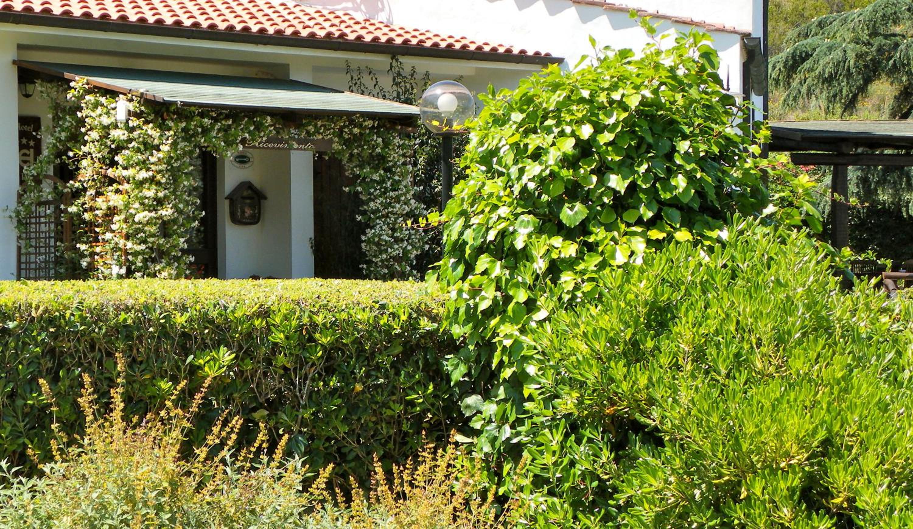 garden