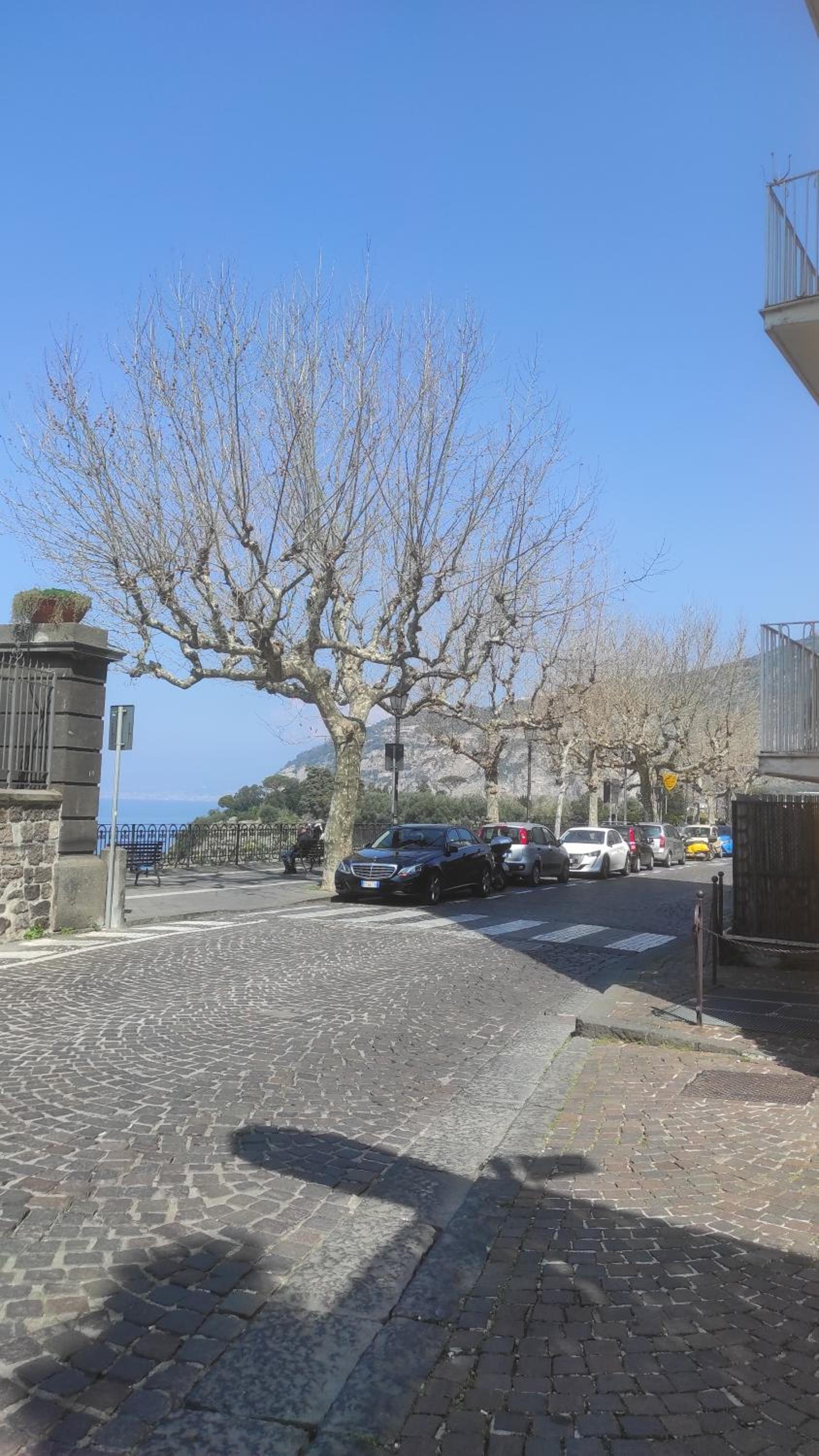 Corte Aragonese
