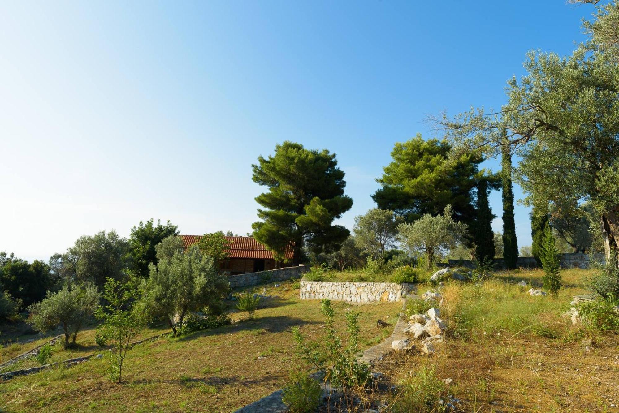 Photo 22