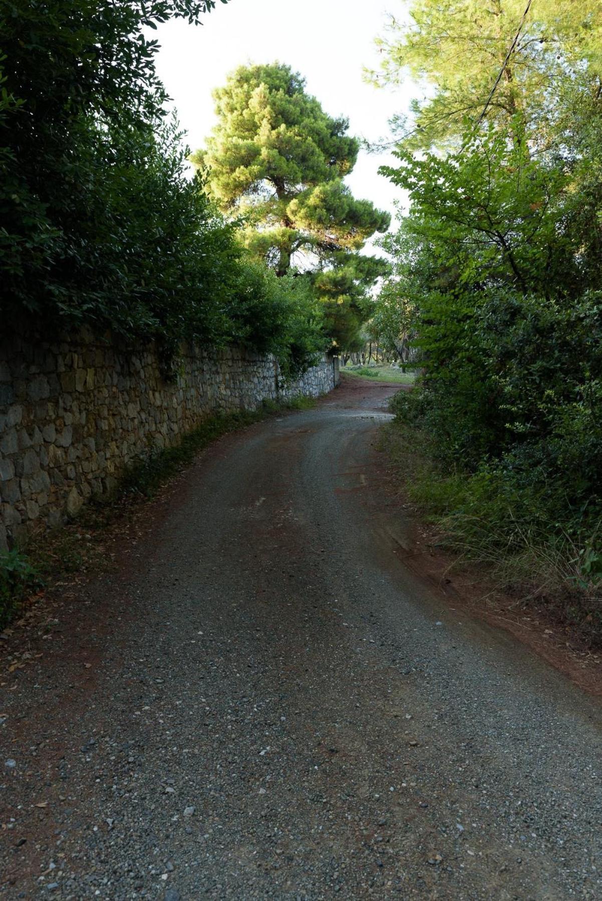Photo 24
