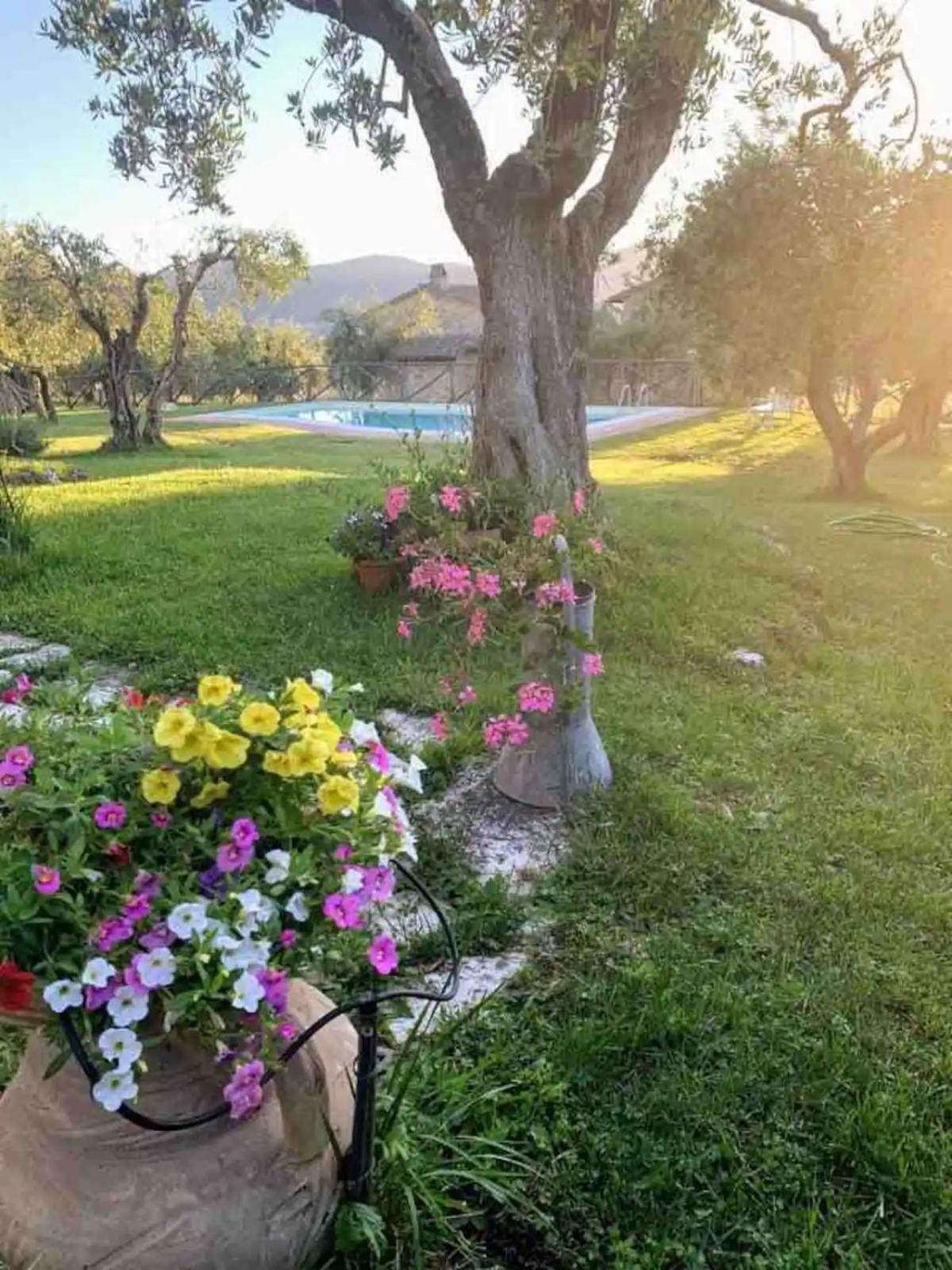 Il casale di Tata view 2