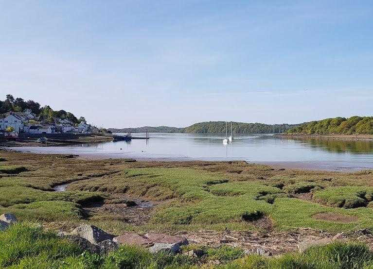 Birchlea