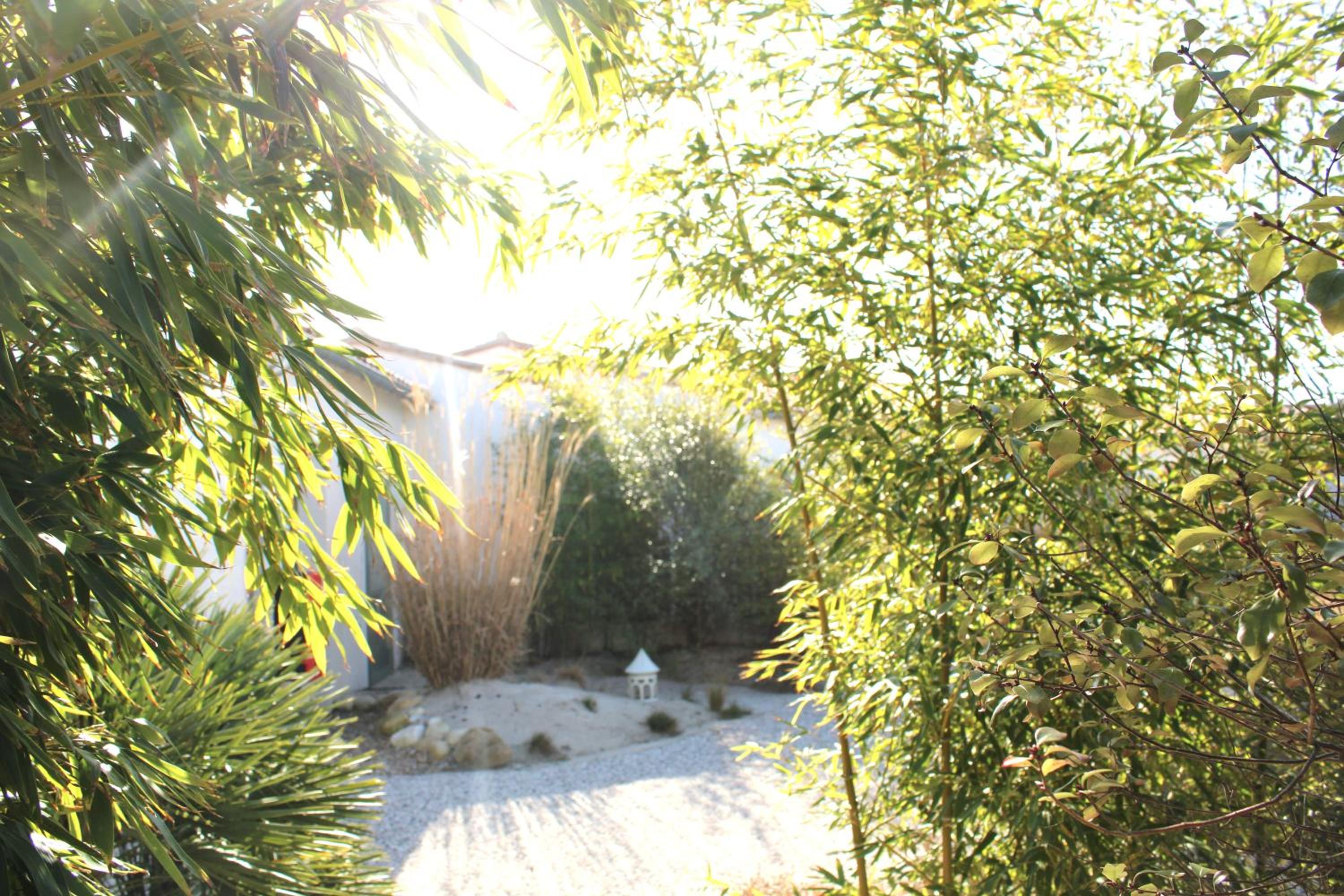garden