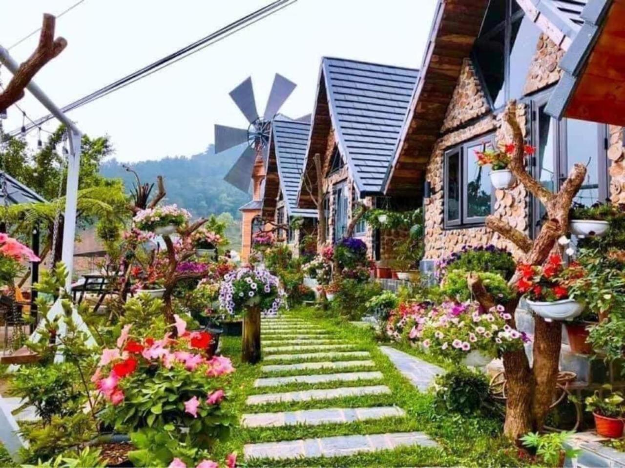 Cau May Tam Dao - Venuestay view 3