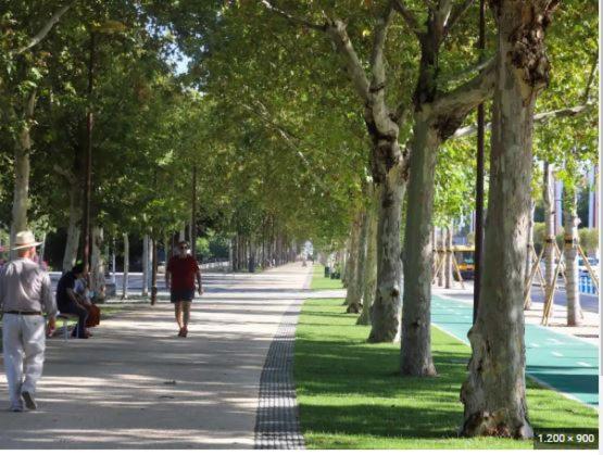 Alleanza, Aires de Guadalquivir
