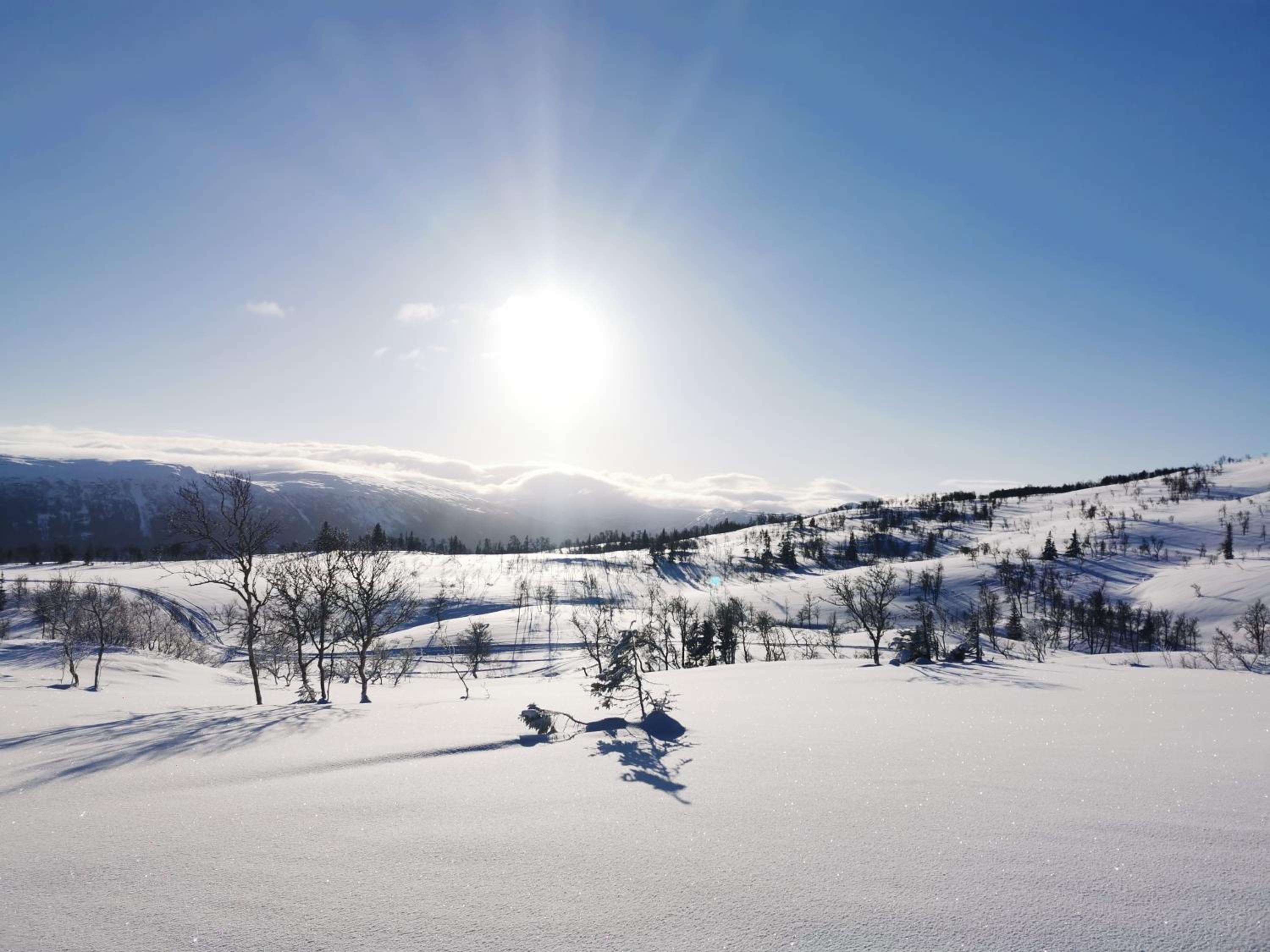 Korgfjellet Fjellstue as view 5