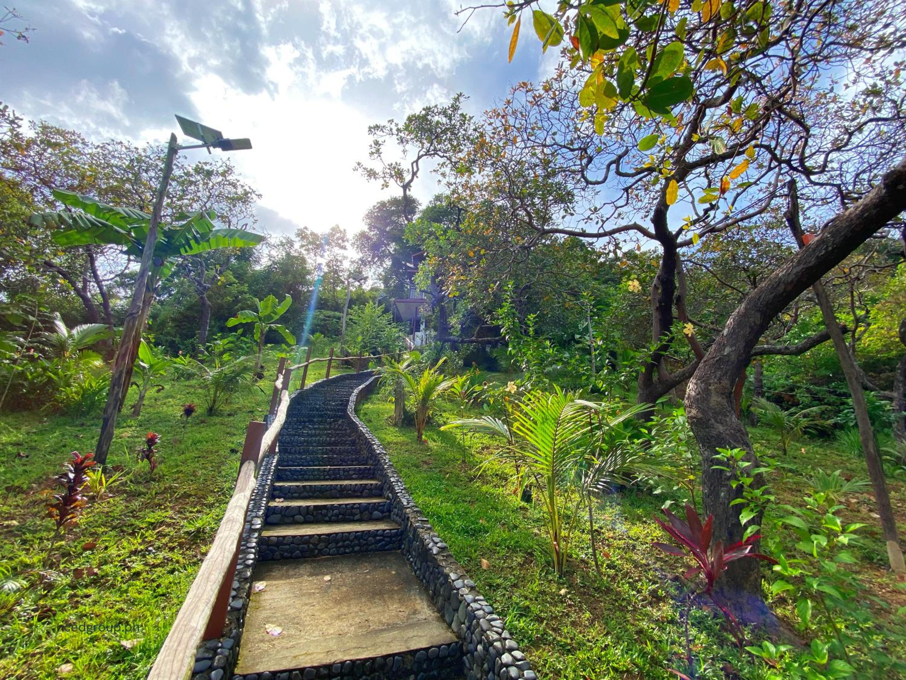CED Garden