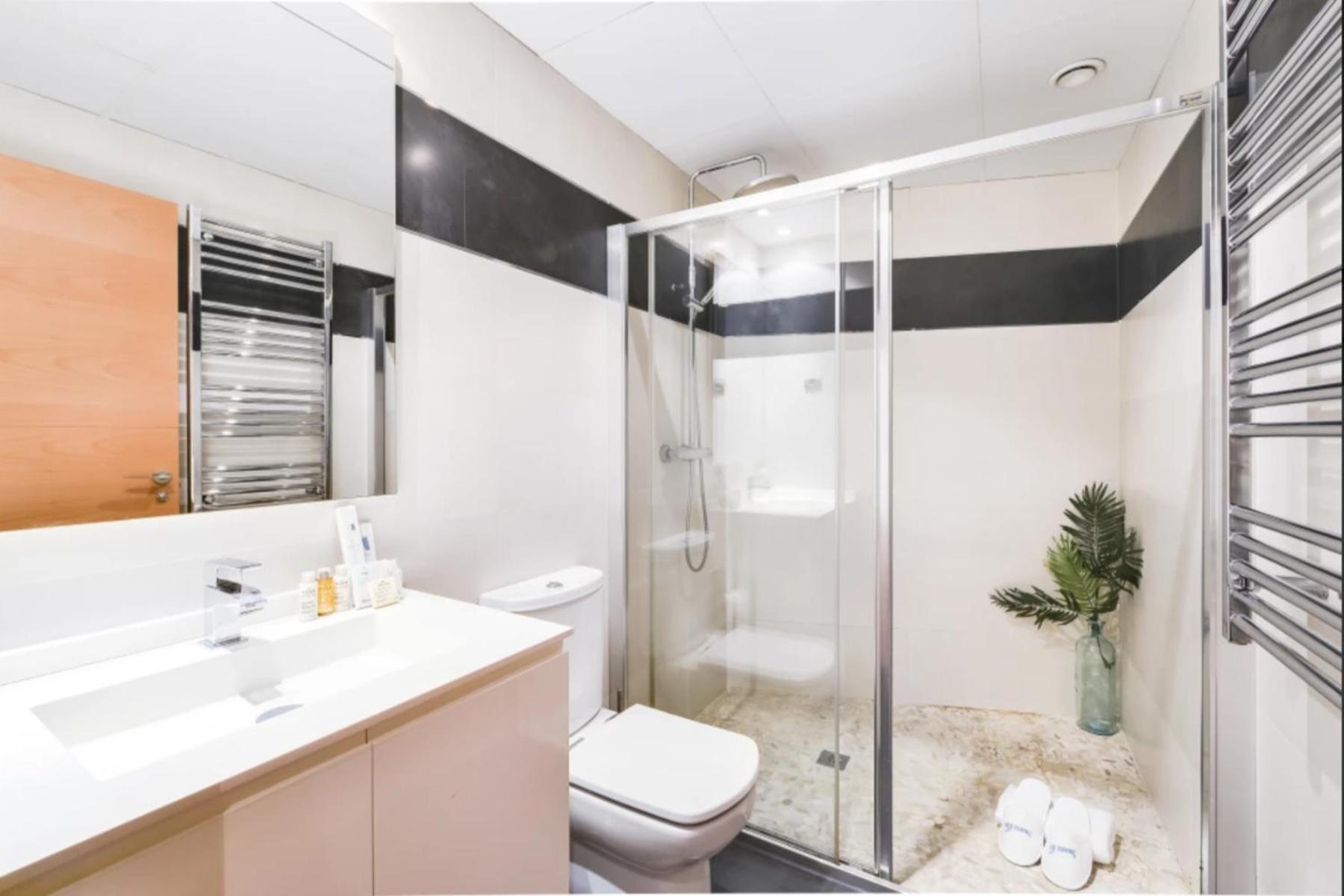 Luxury apartments in Barrio Palacio