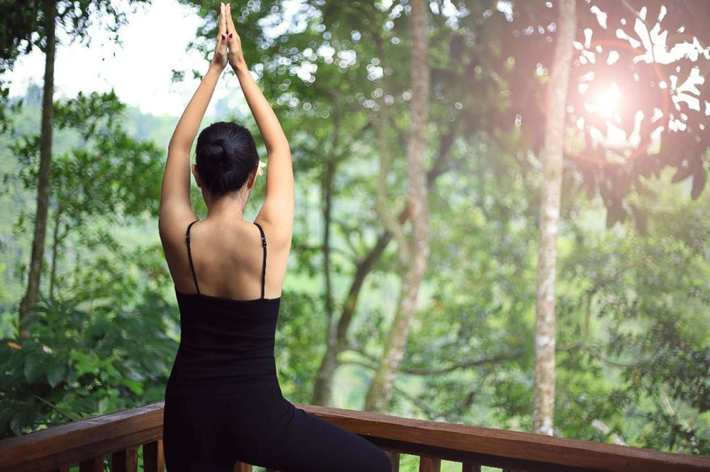 Sunia Jungle Ubud View by EPS