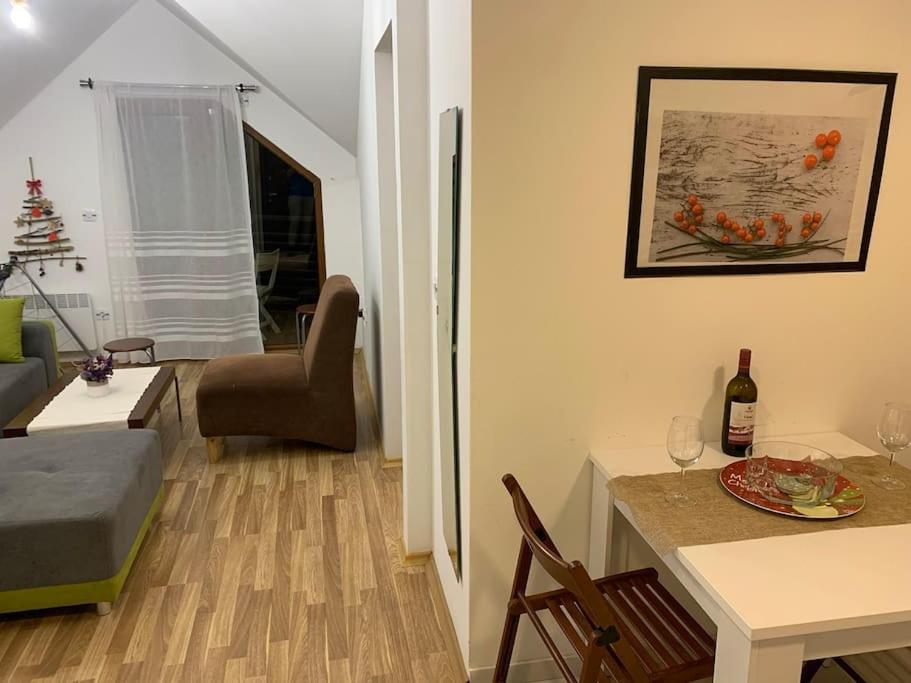 Mavrovo residence, 5 min walk to ski area view 5