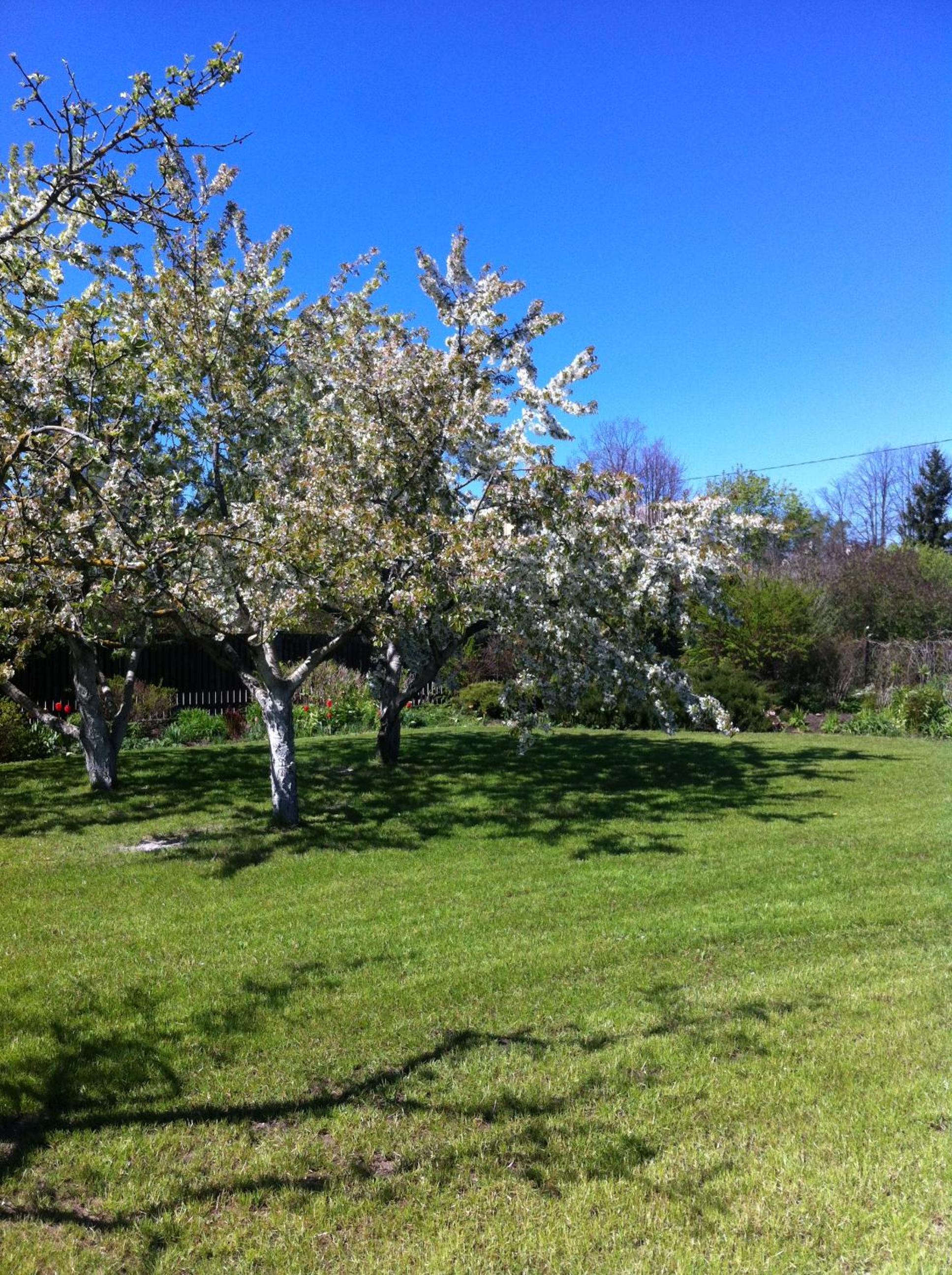 Photo 13
