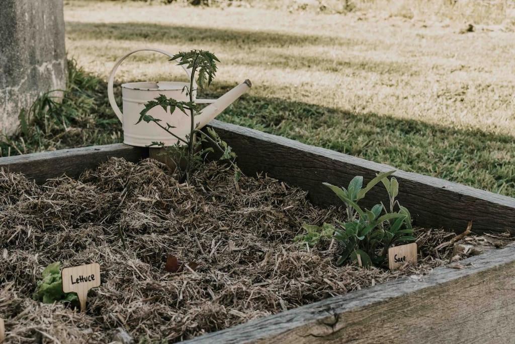 other