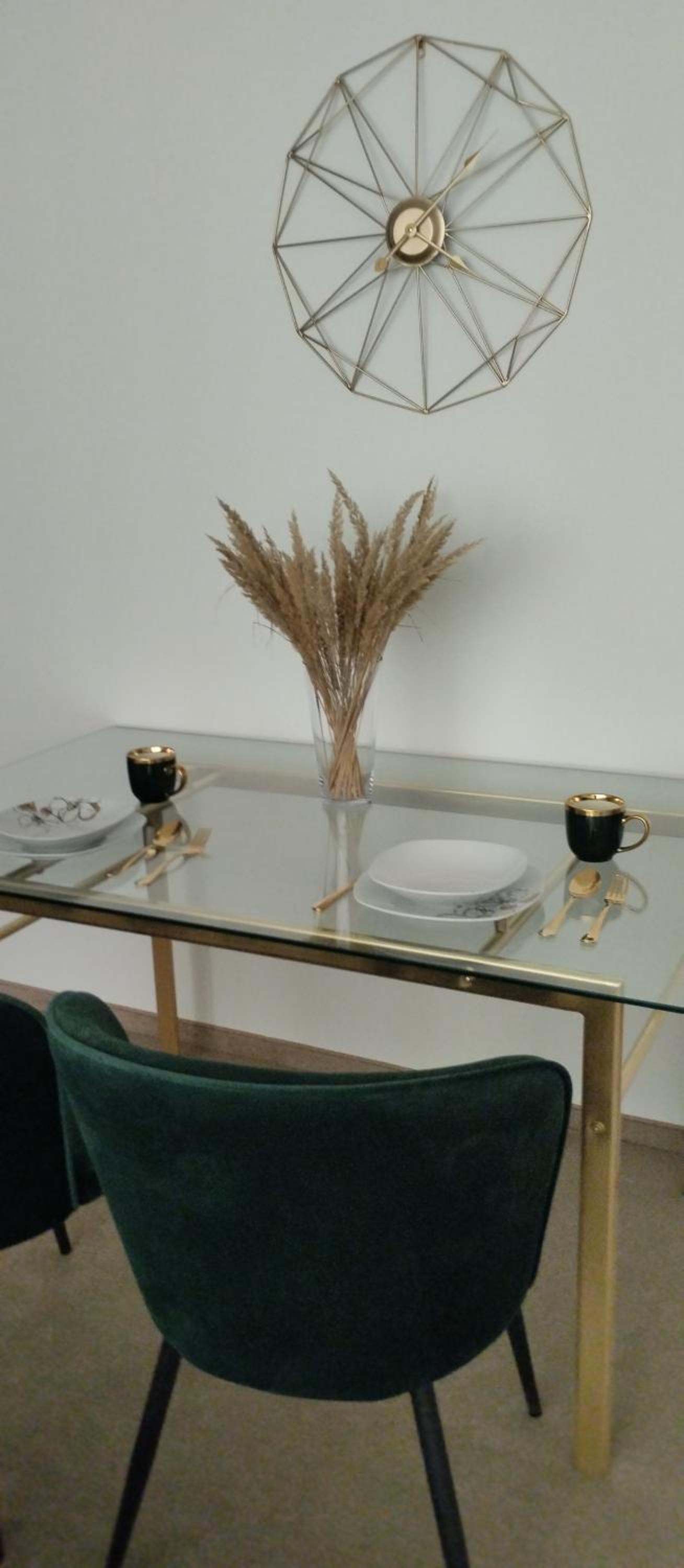 Apartment ARIA