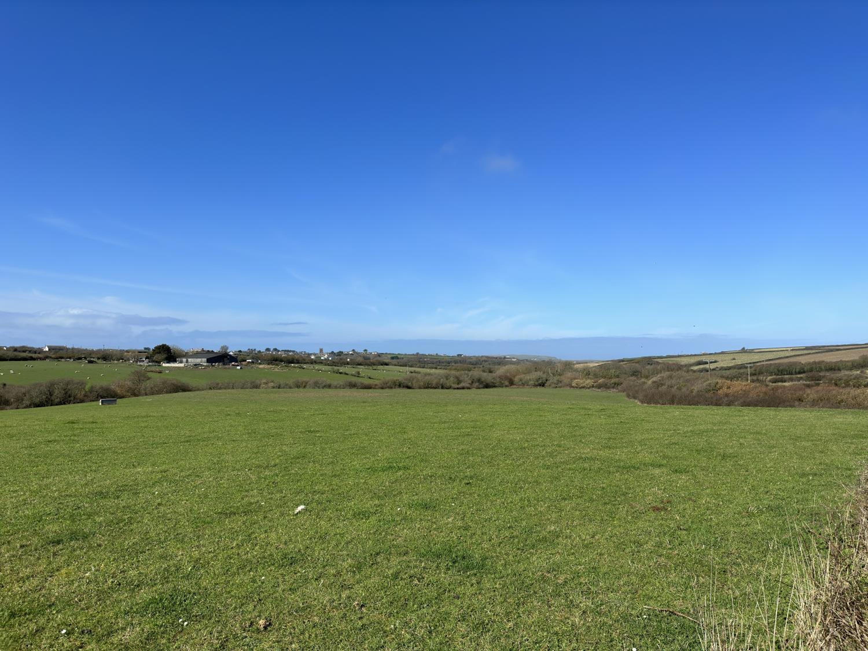 Field View
