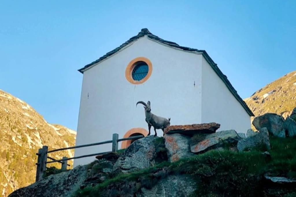Apartment Morgengruss - 3 Min Walk to Train Station, Central & Quiet