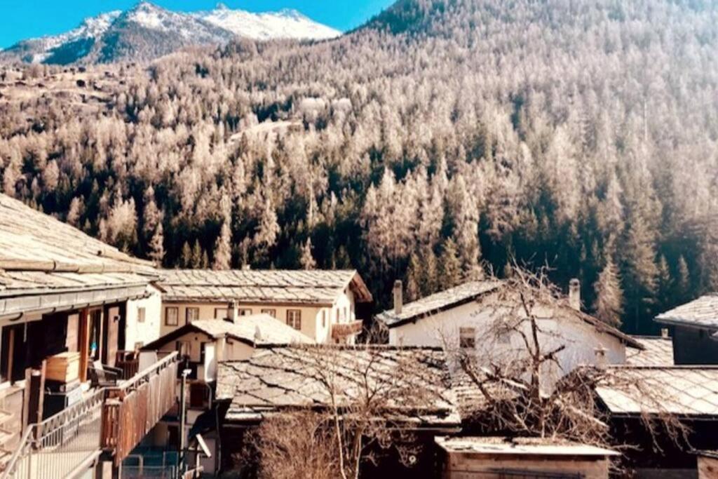 Apartment Morgengruss - 3 Min Walk to Train Station, Central & Quiet