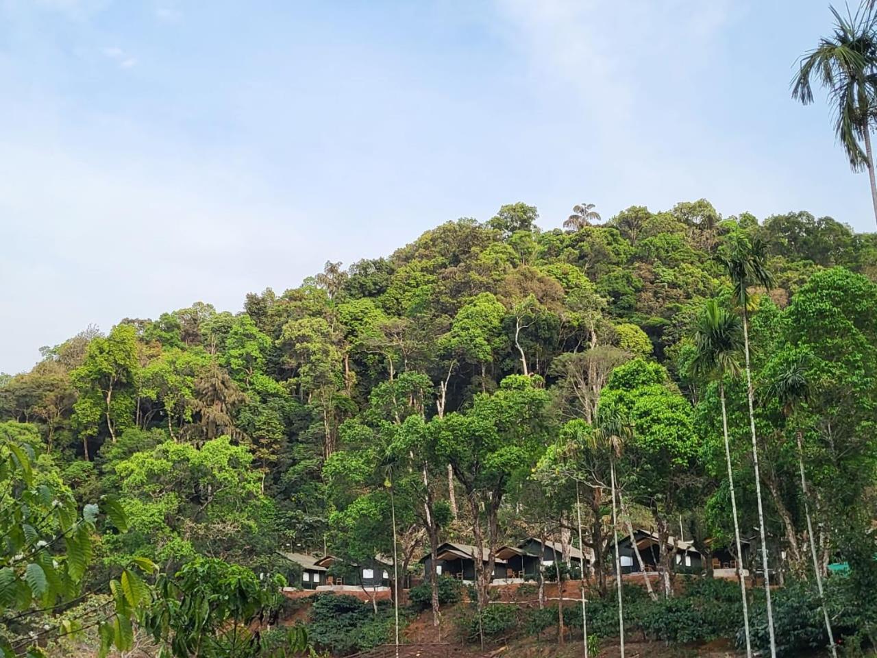 Three Hills Resort & Spa, Coorg