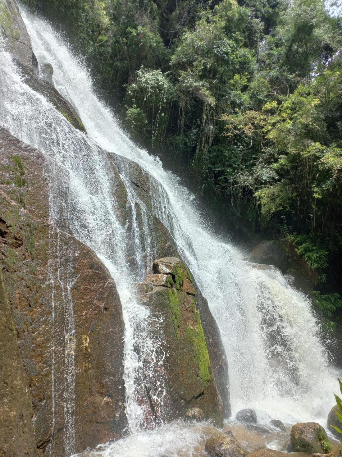 Chalé Araucária- Vale das Pedras MG