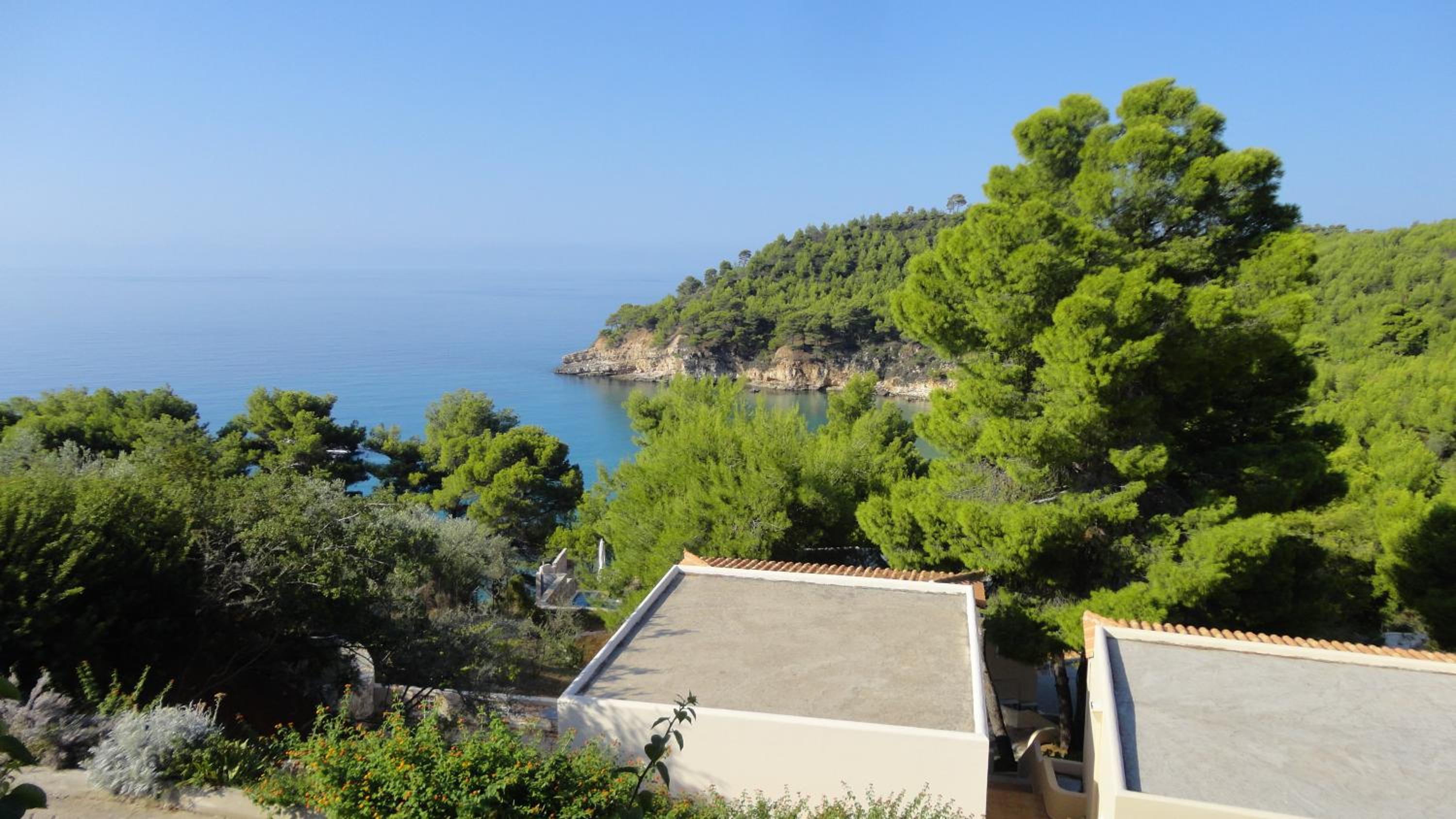 Alonissos Beach Bungalows And Suites Hotel