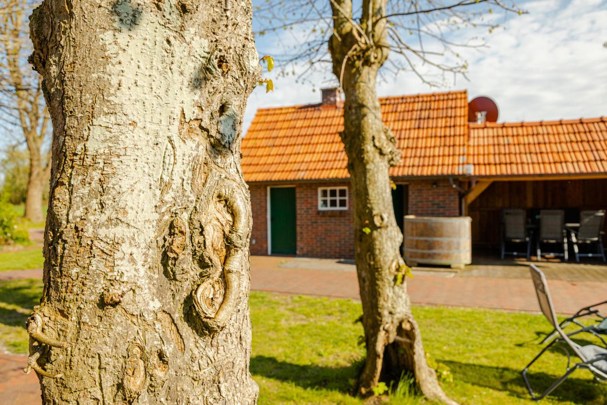 Reetdach Ostfriesenhaus